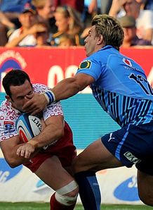 Rampant Bulls shock Reds Rampant Bulls shock Reds