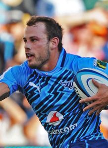 Brilliant Bulls tame Lions Brilliant Bulls tame Lions