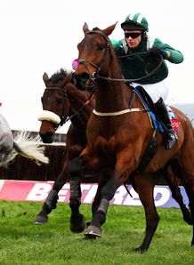 Salsify leads Foxhunter field