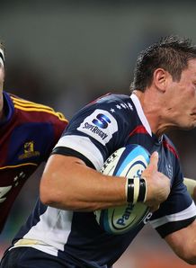 highlanders rebels preview pic highlanders rebels preview pic
