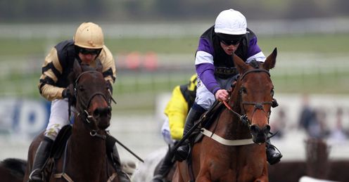 Brindisi Breeze Cheltenham Festival
