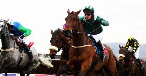 Salsify: Alex's tip for the Stratford Foxhunters Champion Hunters' Chase
