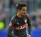 Harnik
