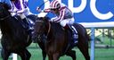 Aigles angling for glory
