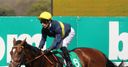 Draw concerns for Grey