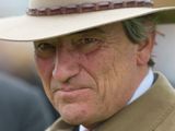 L M Cumani