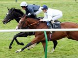 The Fugue