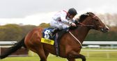 Yorkshire Cup preview
