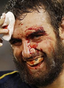 Tip-top Brumbies Tip-top Brumbies