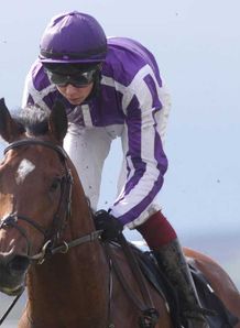 Excelebration tops QEII lineup