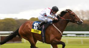 Yorkshire Cup preview