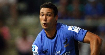 Saints snap up Shepherd