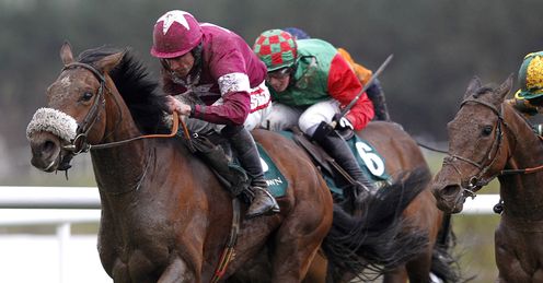 Dedigout Punchestown