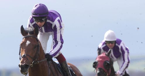 Excelebration Curragh