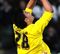 Gazzaniga