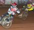 Great Danes inspire Robins