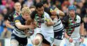 Harlequins seal top spot