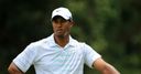 Watson - Injury costing Tiger