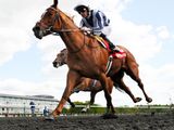 Main Sequence (USA)