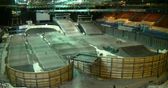 BMX Worlds ¿ Track Build