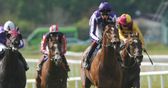 The Lockinge Stakes preview