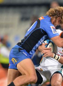 cheetahs v force cheetahs v force
