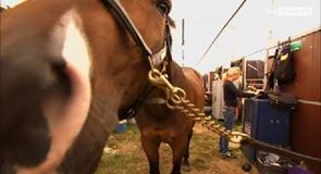 Get Involved: Saddle Up!