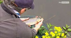 Fishing as May flies by