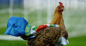 Fowl play at Ewood Park