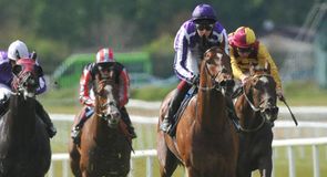 The Lockinge Stakes preview
