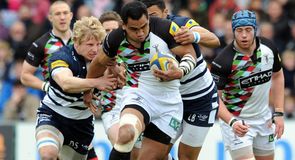 Quins ready for the play-offs
