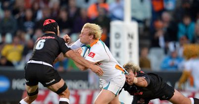 Sharks do the business in Bloem