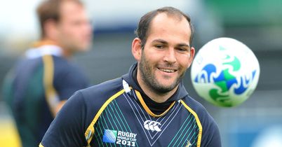 Du Preez available for Springboks