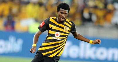 Bobsteak Backs Promising Trio