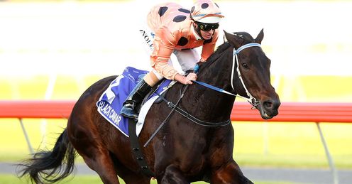 Black Caviar: Alex's banker for the Diamond Jubilee Stakes