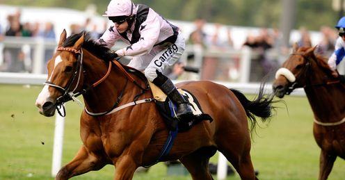 Hoof It: Alex's tip for the Great St Wilfrid Handicap at Ripon