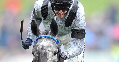 Ile De Re Chester Cup