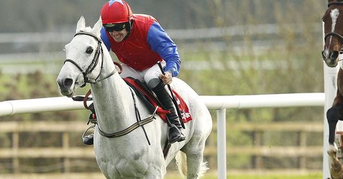  Thousand Stars Punchestown