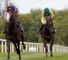Derrinstown Stud Trial Day