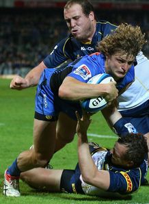 Nick Cummins Western Force