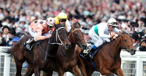 black caviar restiadargent moonlight cloud