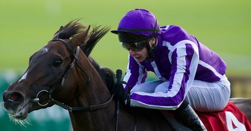 Camelot ready to become a legend