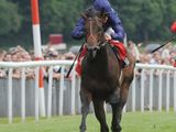 Brown Panther