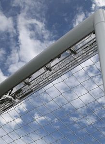Football Association general secretary Alex Horne says body wants goalline technology Football Association general secretary Alex Horne says body wants goalline technology