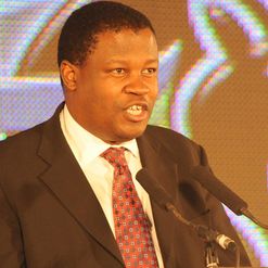 Mokanyane: Forging a plan