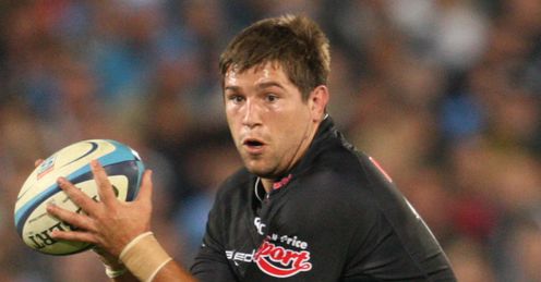 Willem Alberts Sharks Willem Alberts Sharks