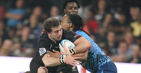 tim whitehead sharks v bulls tim whitehead sharks v bulls