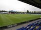 Moss Rose