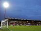 Moss Rose