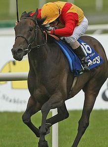 Six set for Irish Champion